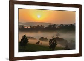 Forest in morning mist, Kibale National Park, Uganda-Keren Su-Framed Photographic Print