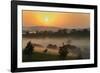 Forest in morning mist, Kibale National Park, Uganda-Keren Su-Framed Photographic Print