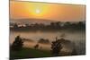 Forest in morning mist, Kibale National Park, Uganda-Keren Su-Mounted Photographic Print