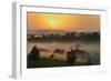 Forest in morning mist, Kibale National Park, Uganda-Keren Su-Framed Photographic Print