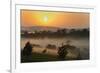 Forest in morning mist, Kibale National Park, Uganda-Keren Su-Framed Photographic Print