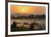 Forest in morning mist, Kibale National Park, Uganda-Keren Su-Framed Photographic Print