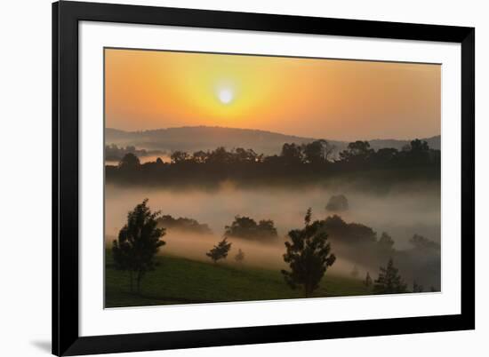 Forest in morning mist, Kibale National Park, Uganda-Keren Su-Framed Photographic Print