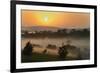 Forest in morning mist, Kibale National Park, Uganda-Keren Su-Framed Photographic Print