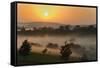 Forest in morning mist, Kibale National Park, Uganda-Keren Su-Framed Stretched Canvas