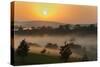 Forest in morning mist, Kibale National Park, Uganda-Keren Su-Stretched Canvas