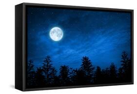 Forest in Silhouette with Starry Night Sky and Full Moon , Elements of this Image are Furnished by-OHishiapply-Framed Stretched Canvas