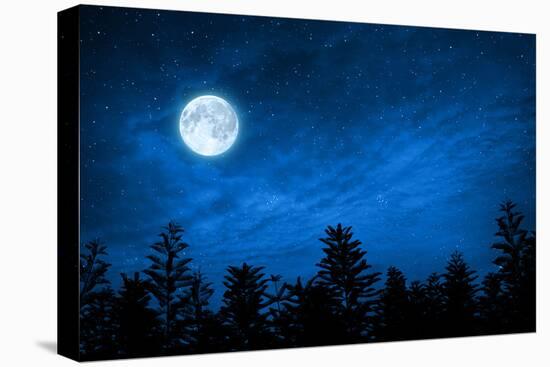 Forest in Silhouette with Starry Night Sky and Full Moon , Elements of this Image are Furnished by-OHishiapply-Stretched Canvas