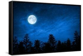 Forest in Silhouette with Starry Night Sky and Full Moon , Elements of this Image are Furnished by-OHishiapply-Framed Stretched Canvas