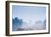 Forest in the Morning Mist-Pongphan Ruengchai-Framed Photographic Print