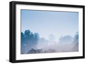 Forest in the Morning Mist-Pongphan Ruengchai-Framed Photographic Print