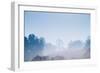 Forest in the Morning Mist-Pongphan Ruengchai-Framed Photographic Print