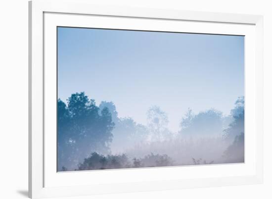 Forest in the Morning Mist-Pongphan Ruengchai-Framed Photographic Print