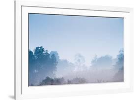 Forest in the Morning Mist-Pongphan Ruengchai-Framed Photographic Print