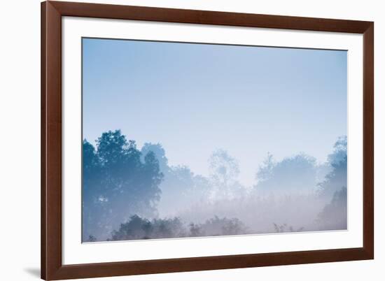 Forest in the Morning Mist-Pongphan Ruengchai-Framed Photographic Print