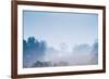 Forest in the Morning Mist-Pongphan Ruengchai-Framed Photographic Print