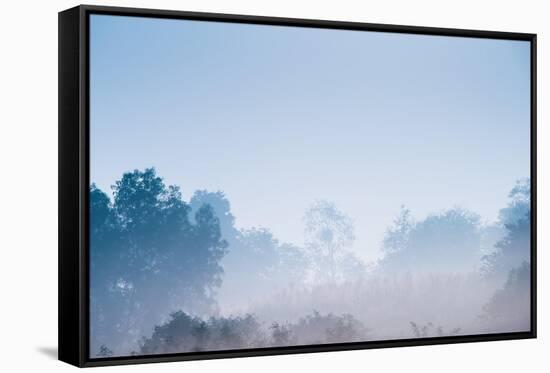 Forest in the Morning Mist-Pongphan Ruengchai-Framed Stretched Canvas