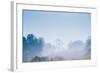 Forest in the Morning Mist-Pongphan Ruengchai-Framed Photographic Print