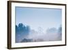 Forest in the Morning Mist-Pongphan Ruengchai-Framed Photographic Print