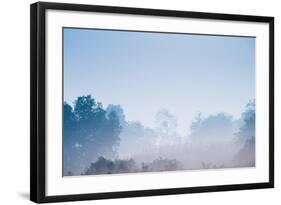 Forest in the Morning Mist-Pongphan Ruengchai-Framed Photographic Print