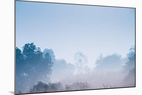 Forest in the Morning Mist-Pongphan Ruengchai-Mounted Photographic Print