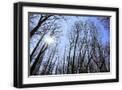 Black Frame