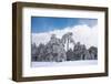 Forest in Winter-mpalis-Framed Photographic Print