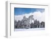 Forest in Winter-mpalis-Framed Photographic Print