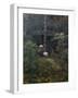 Forest interior, 1906-August Eiebakke-Framed Giclee Print