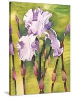 Forest Iris-Mary Russel-Stretched Canvas