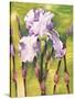 Forest Iris-Mary Russel-Stretched Canvas
