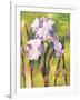 Forest Iris-Mary Russel-Framed Giclee Print