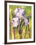 Forest Iris-Mary Russel-Framed Giclee Print