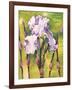 Forest Iris-Mary Russel-Framed Giclee Print