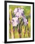 Forest Iris-Mary Russel-Framed Giclee Print