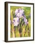 Forest Iris-Mary Russel-Framed Giclee Print