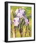 Forest Iris-Mary Russel-Framed Giclee Print