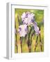 Forest Iris-Mary Russel-Framed Giclee Print