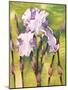 Forest Iris-Mary Russel-Mounted Giclee Print