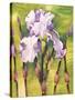 Forest Iris-Mary Russel-Stretched Canvas