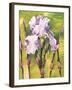 Forest Iris-Mary Russel-Framed Giclee Print