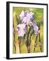 Forest Iris-Mary Russel-Framed Giclee Print