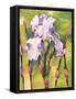 Forest Iris-Mary Russel-Framed Stretched Canvas