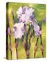 Forest Iris-Mary Russel-Stretched Canvas