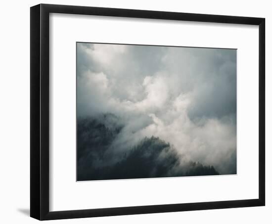 Forest Isolation-Florian Schleinig-Framed Giclee Print