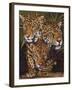 Forest Jewels-Barbara Keith-Framed Giclee Print