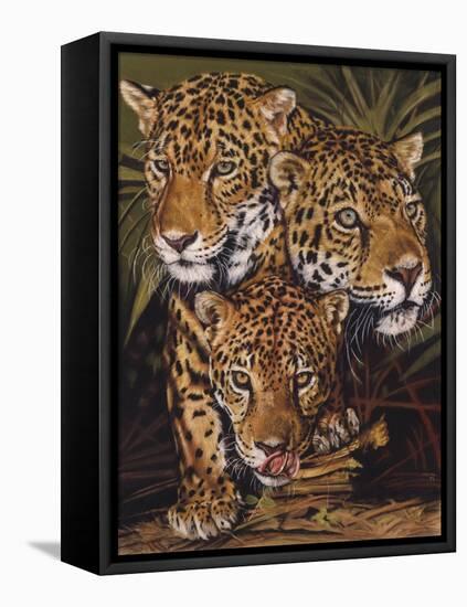 Forest Jewels-Barbara Keith-Framed Stretched Canvas