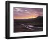 Forest Lake, Shore-Thonig-Framed Photographic Print