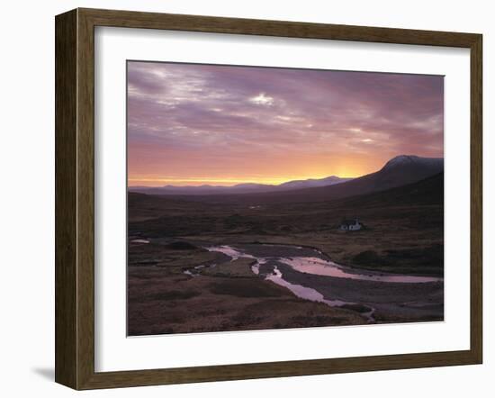 Forest Lake, Shore-Thonig-Framed Photographic Print