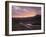 Forest Lake, Shore-Thonig-Framed Photographic Print